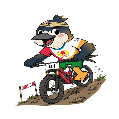 MTB - Downhill